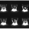 Gdansk_kieliszek_do_likieru_Bohemia_Quadro_55ml