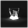 Gdansk_kieliszek_do_likieru_Bohemia_Quadro_55ml_Zuraw